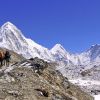 Decouvrir le Népal par le trekking