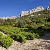 Découverte des terroirs viticoles de la région Rhône-Alpes