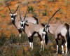 site naturel en Afrique du Sud