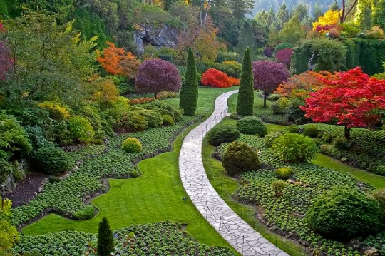 jardin de Kirstenbosch